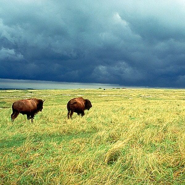 Picture of Blue Mounds State Park