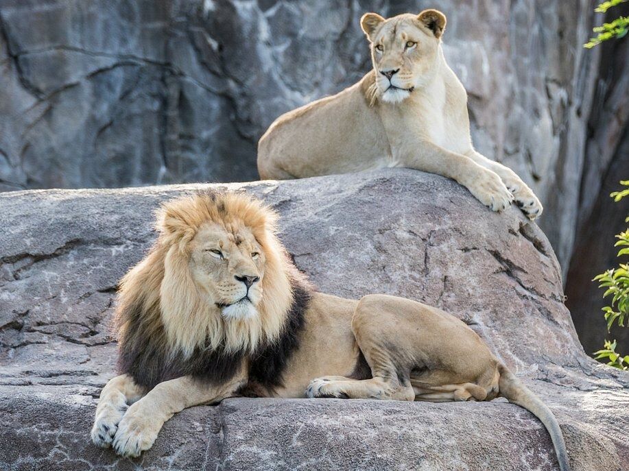 Picture of Sedgwick County Zoo