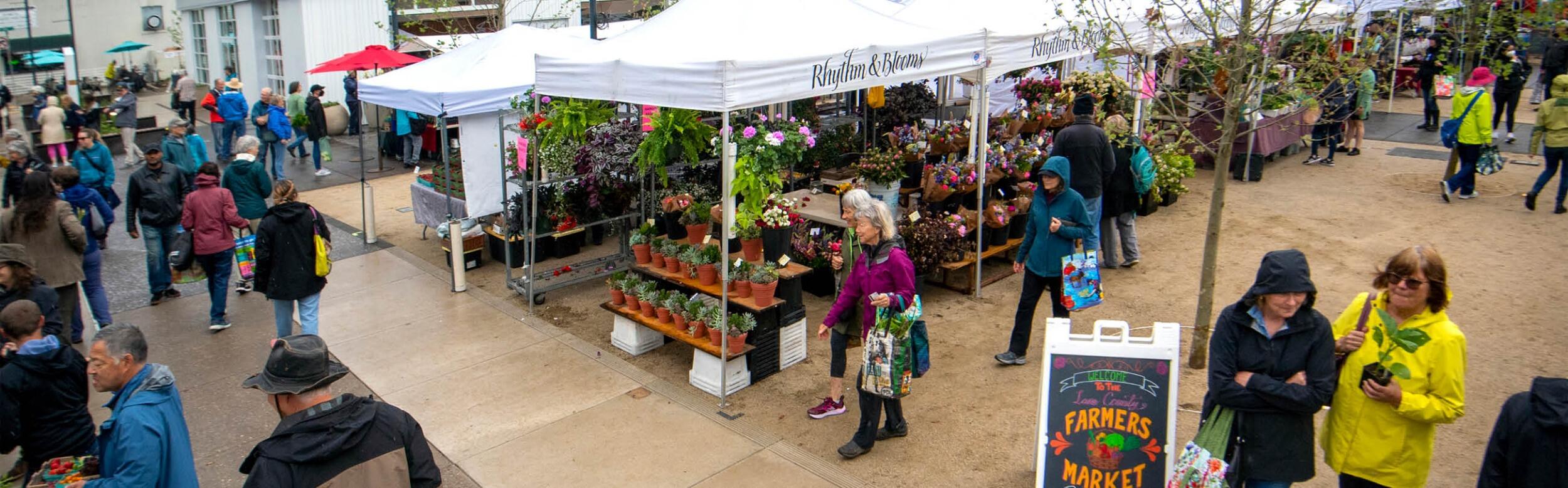 Picture of Eugene Saturday Market