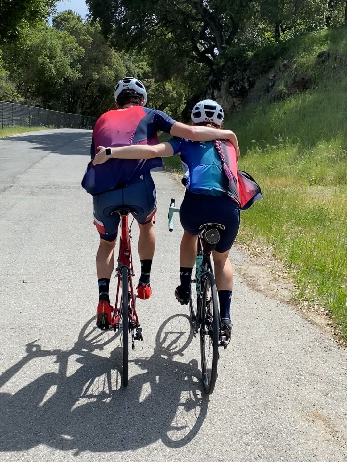 Picture of The Long Ride