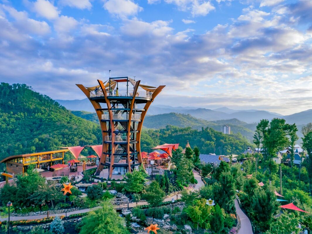 Picture of Anakeesta