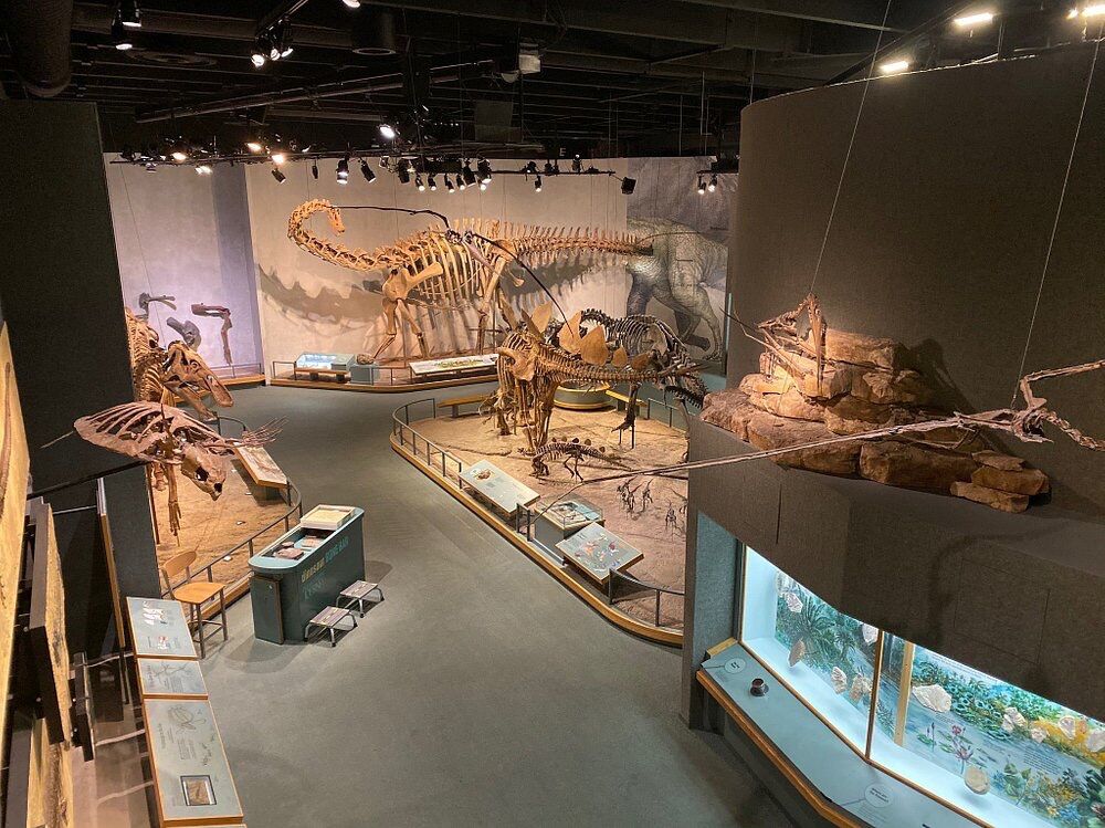 Picture of Denver Museum of Nature & Science