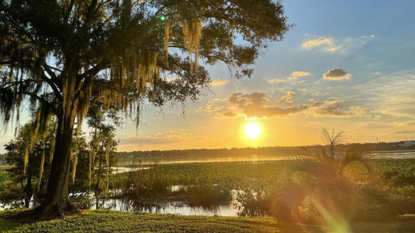 Picture of Lake Hollingsworth