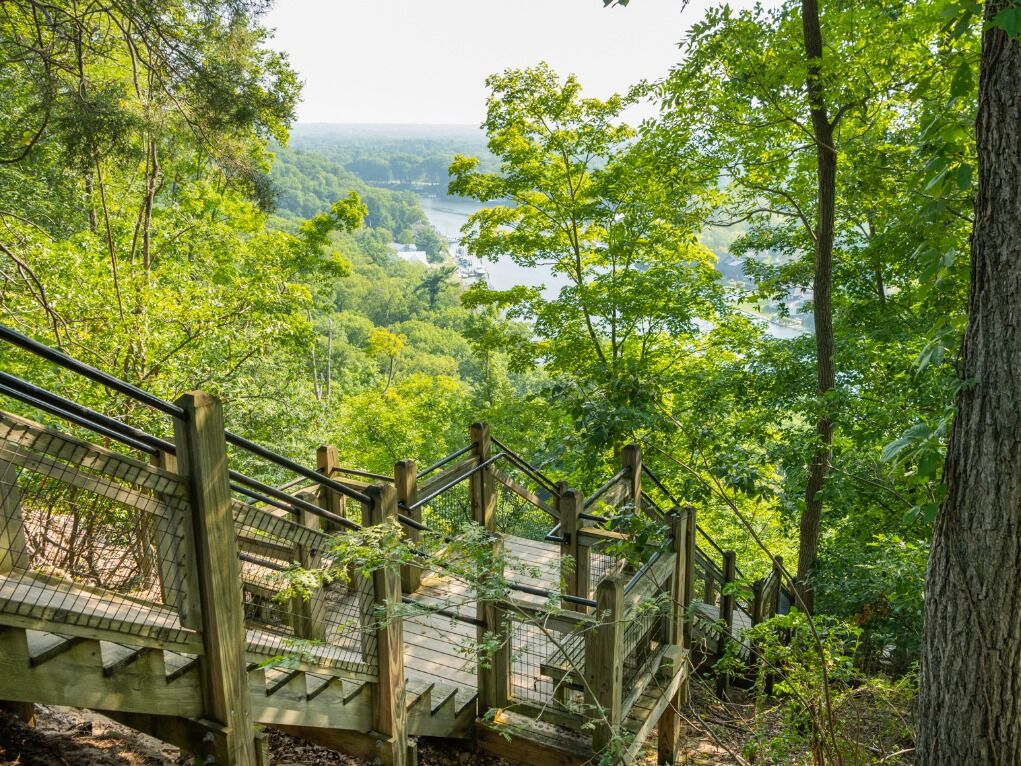 Picture of Mount Baldhead Park