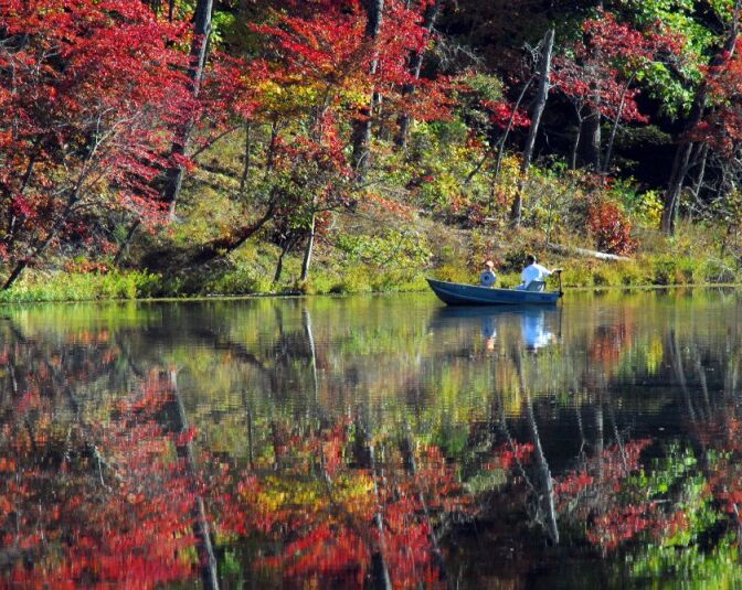 Picture of Fishing