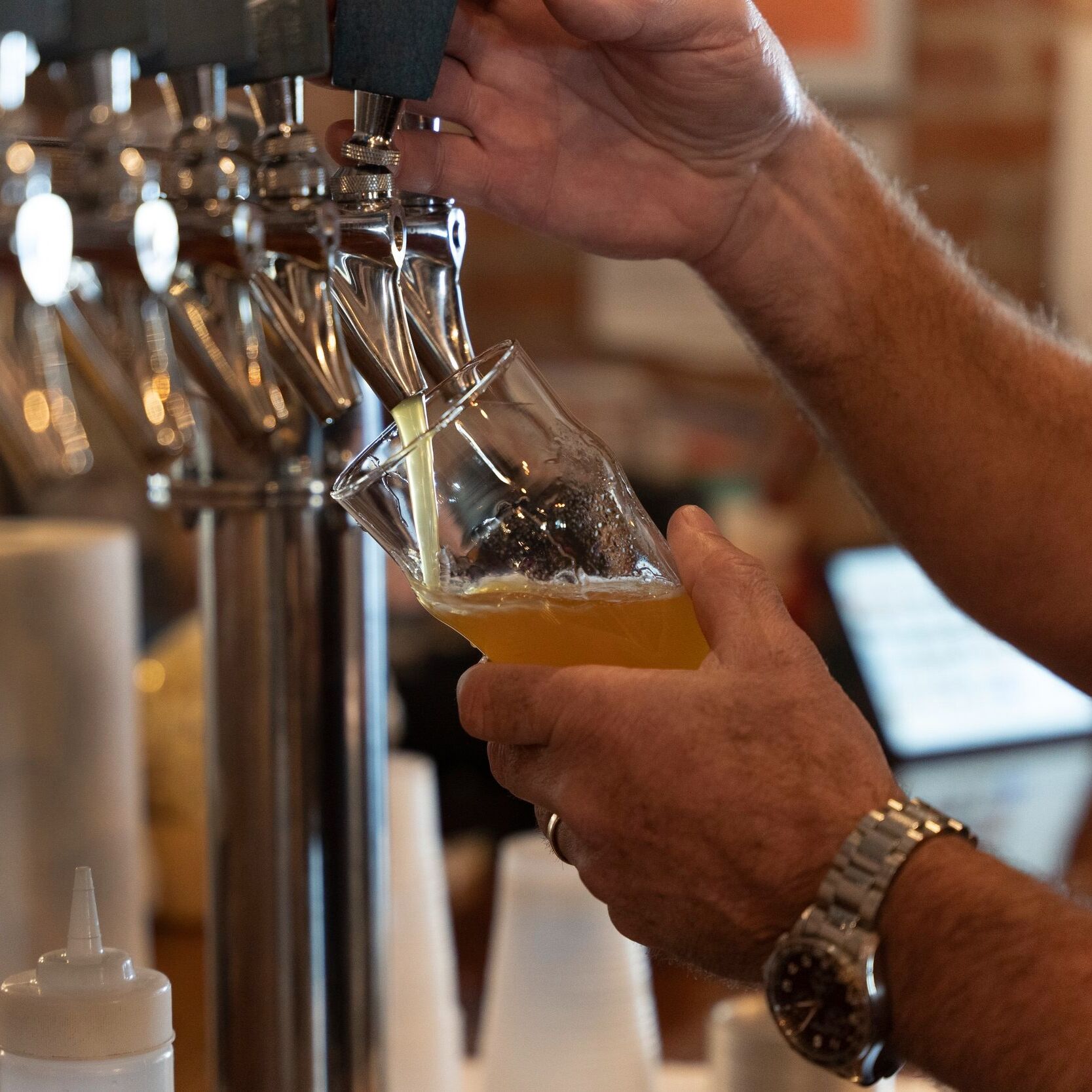 Picture of Skaneateles Brewery
