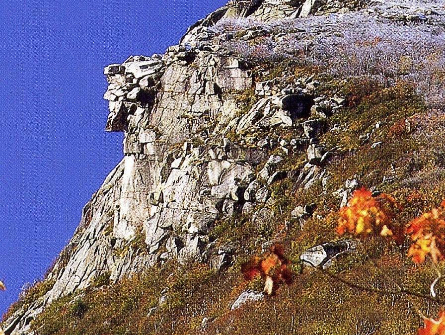 Picture of Old Man of the Mountain Museum