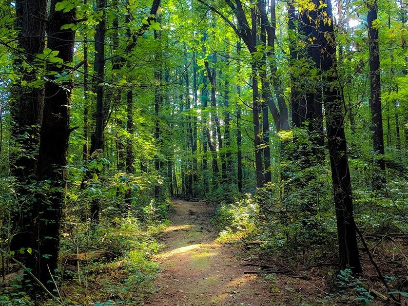 Picture of UW-Madison Arboretum Spring Trail Parking Lot