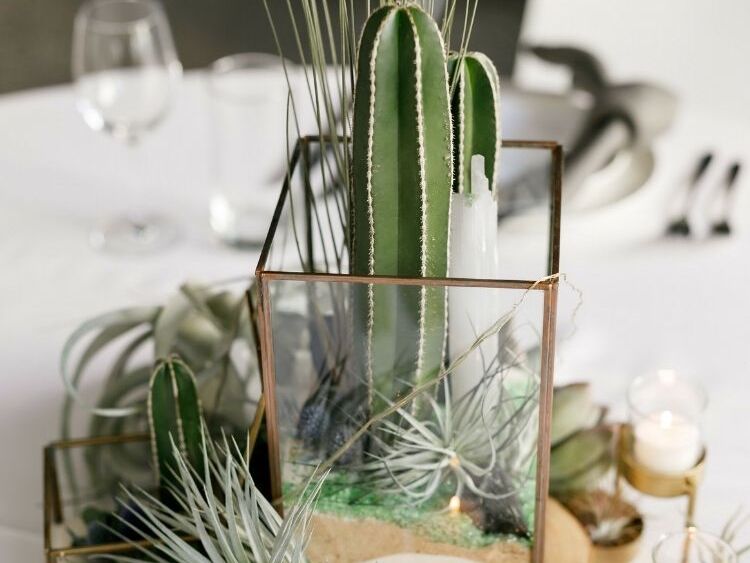 Wedding reception centerpiece with cactus in terrarium and assortment of air plants