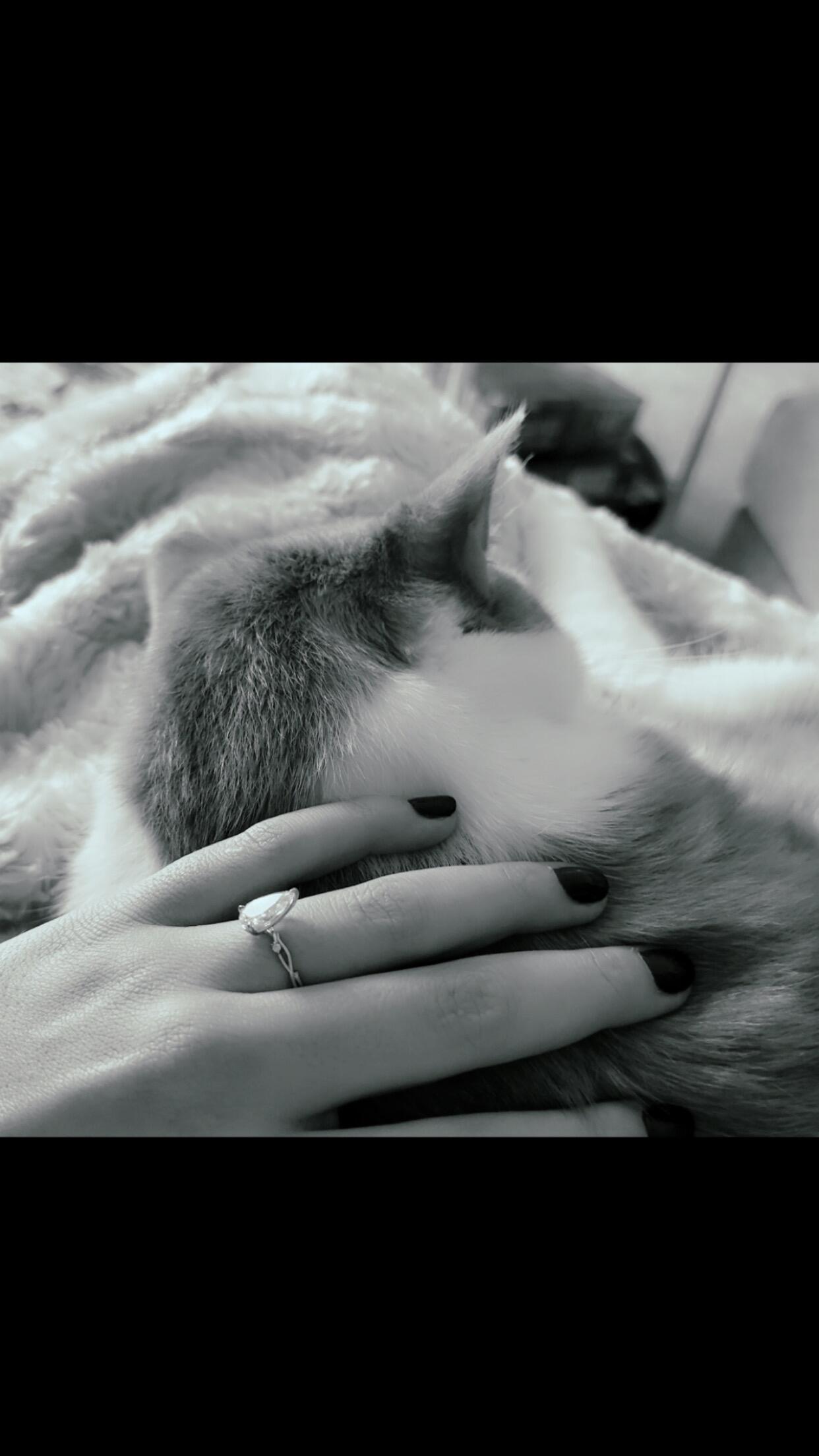We are getting married! 