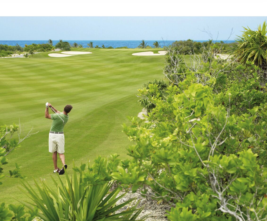 Picture of GOLF