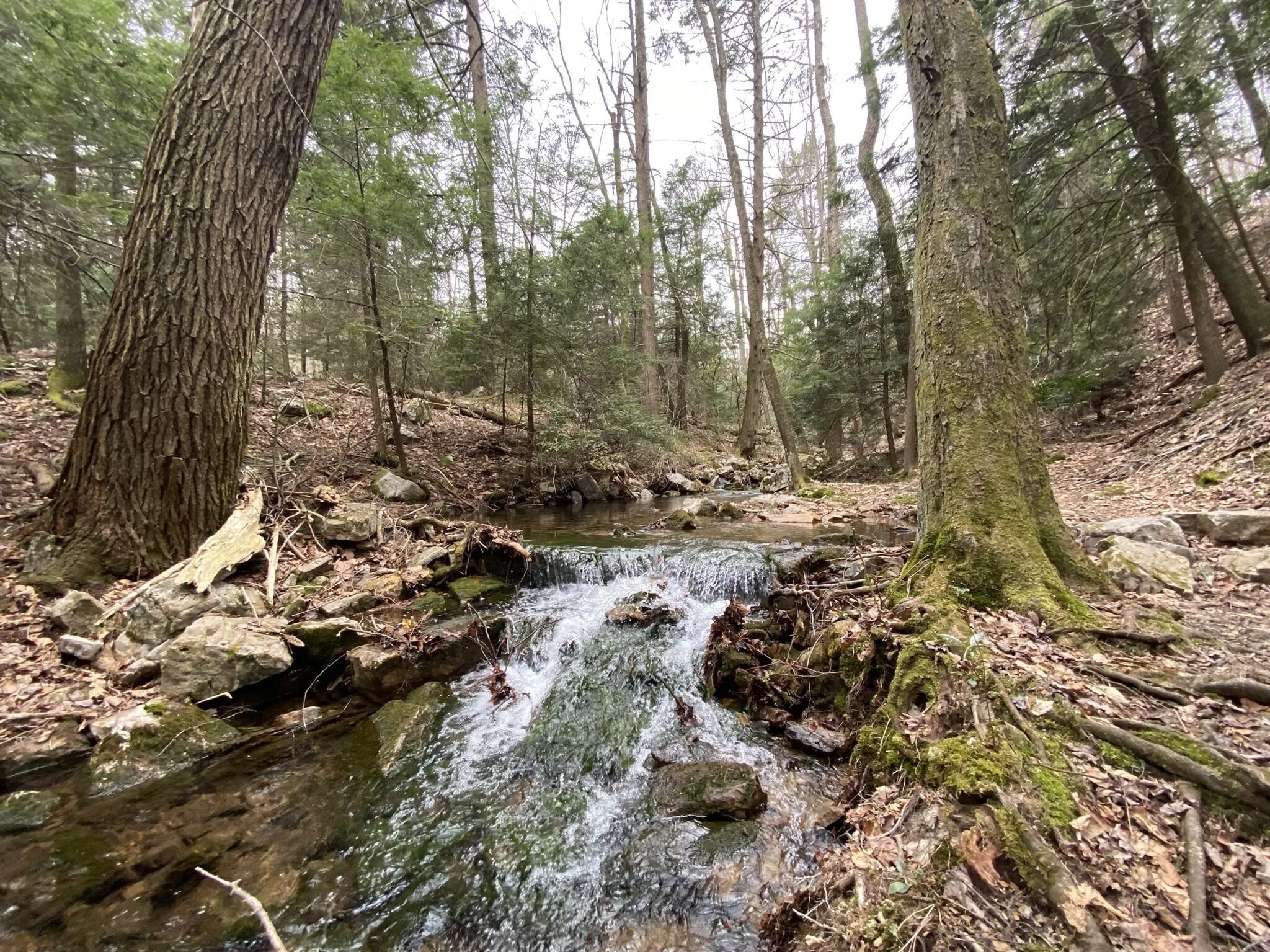 Picture of Additional Hiking Trails