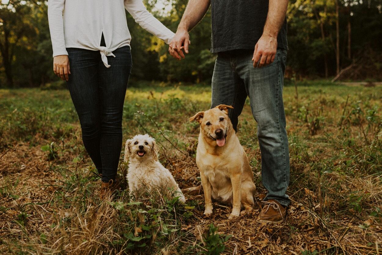 Album Photo 20