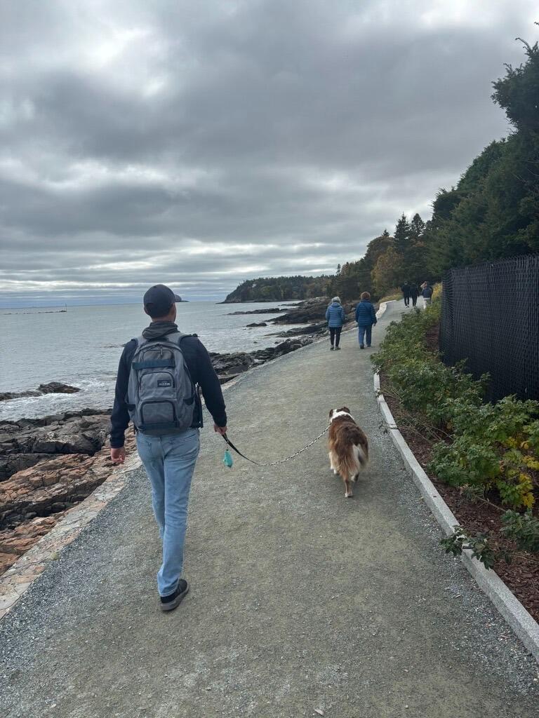 Picture of Bar Harbor Shore path