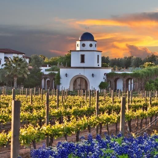 Picture of Texas Wine Country