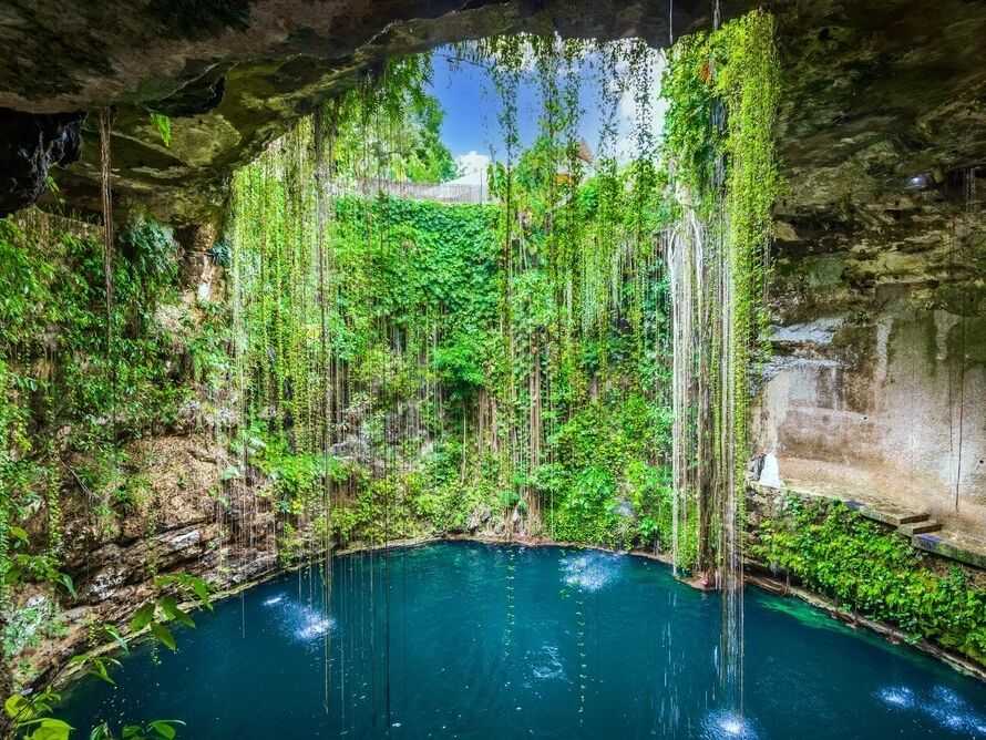 Picture of Cenotes 