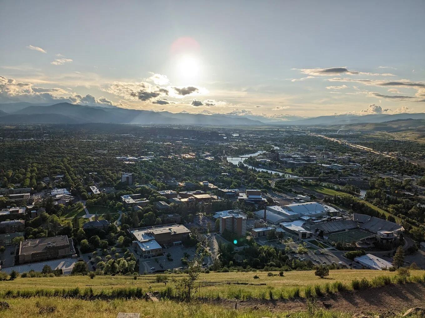 Picture of The M