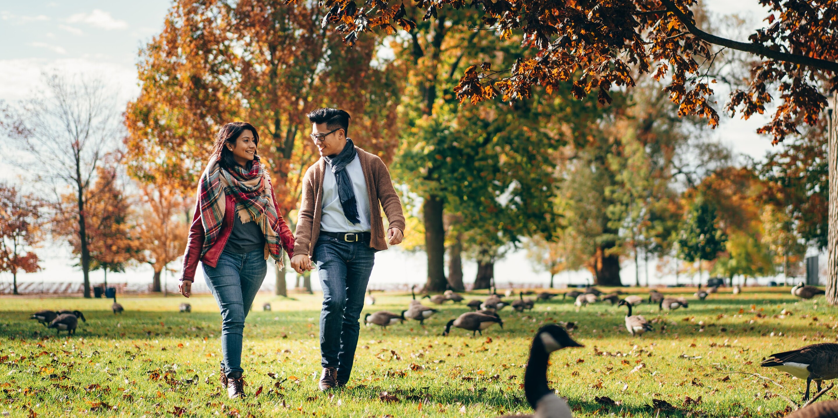 Pixy & Michael Home Page Banner