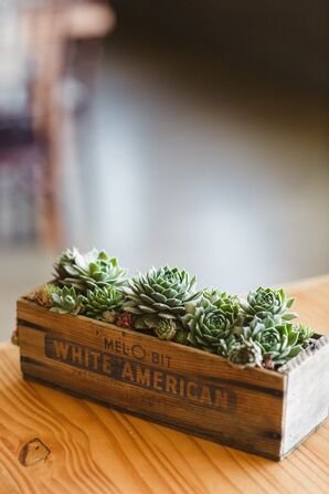 Succulent Reception Decor