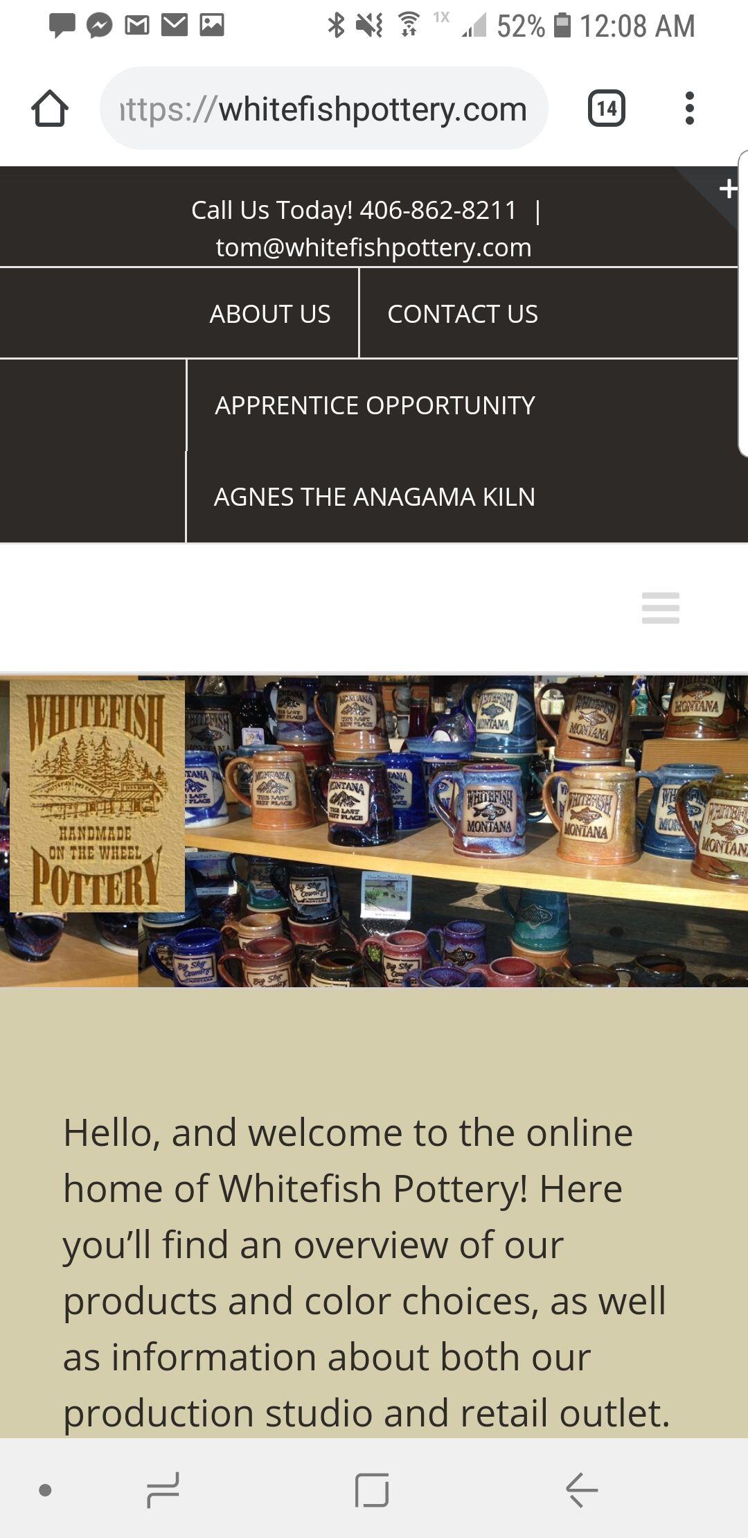 Picture of whitefish pottery