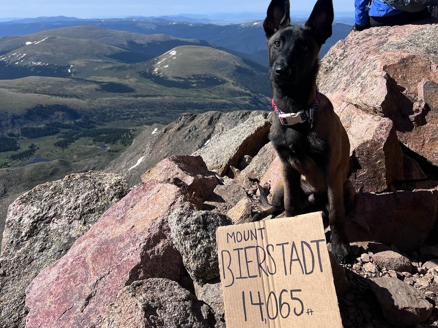 Picture of Collegiate Peaks Campground