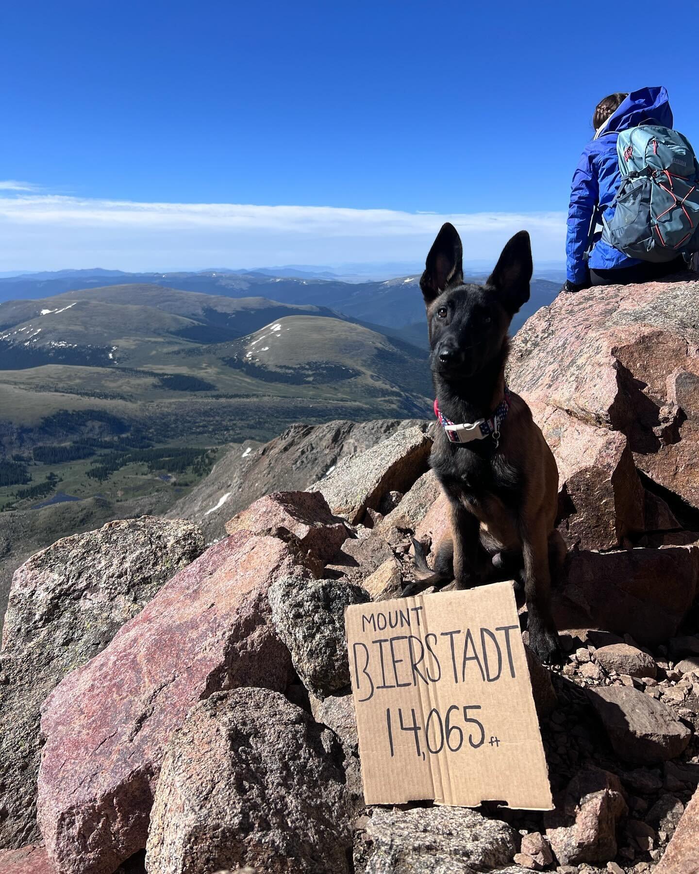 Picture of Collegiate Peaks Campground