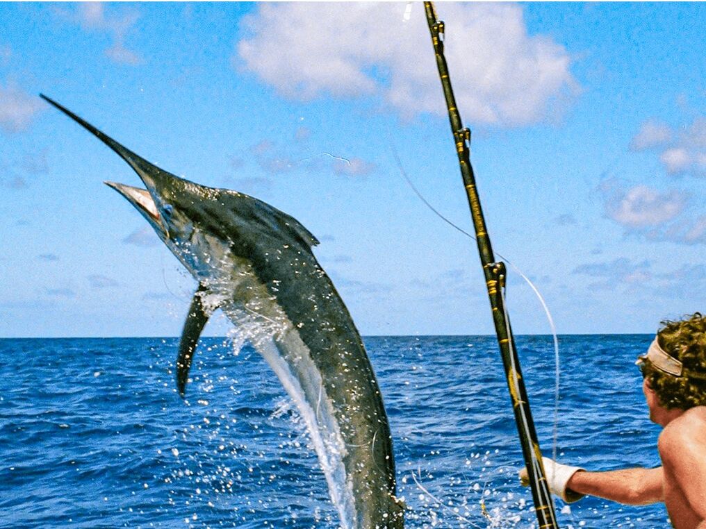 Picture of Deep-Sea Fishing Off the Coast of Riviera Maya