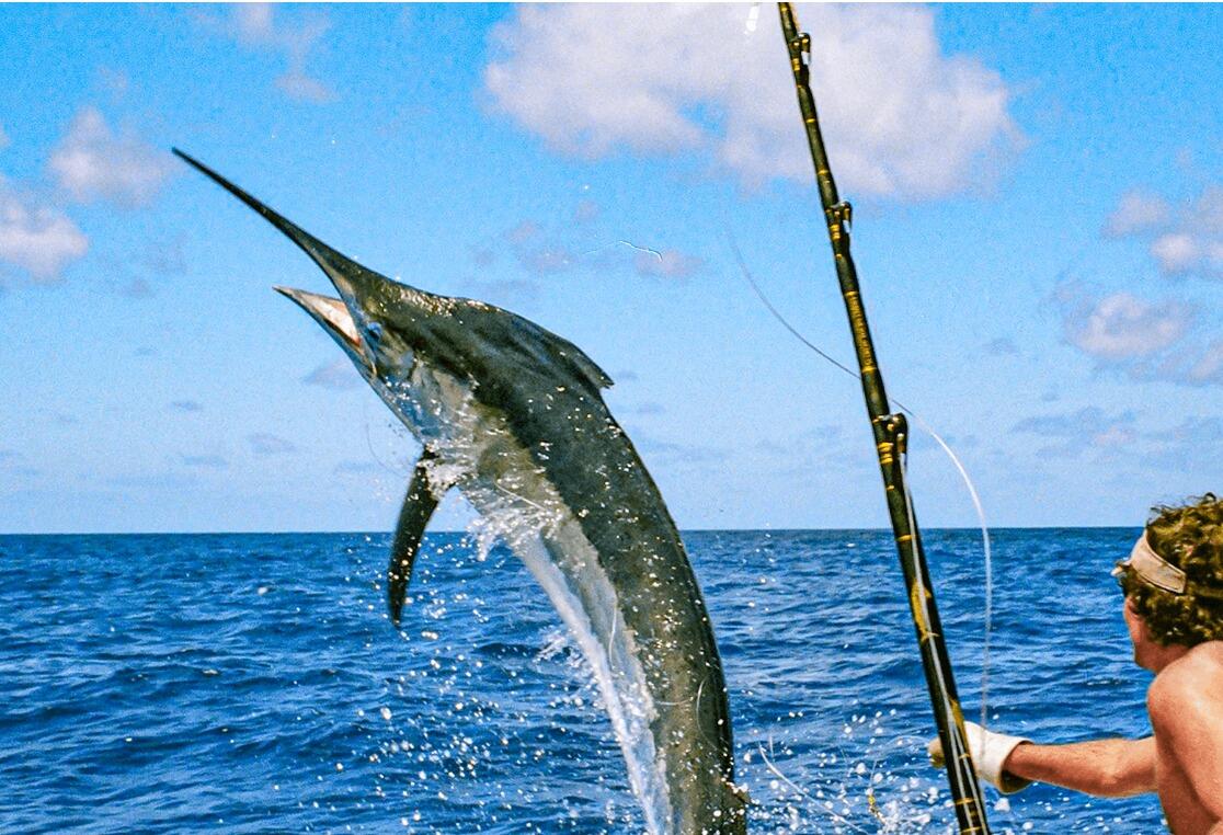 Picture of Deep-Sea Fishing Off the Coast of Riviera Maya