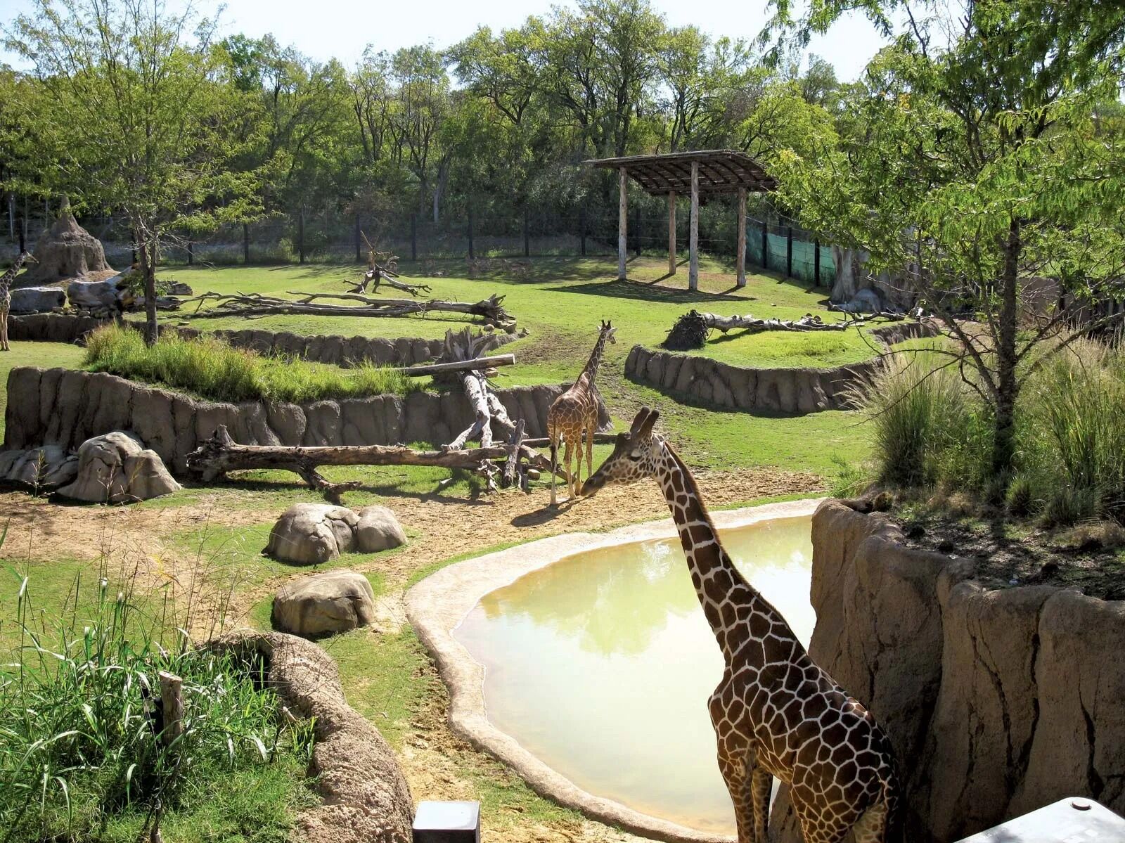 Picture of Dallas Zoo