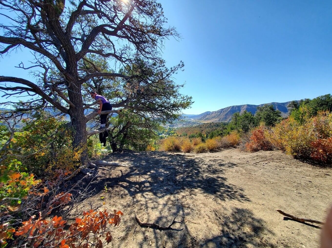Picture of Hiking