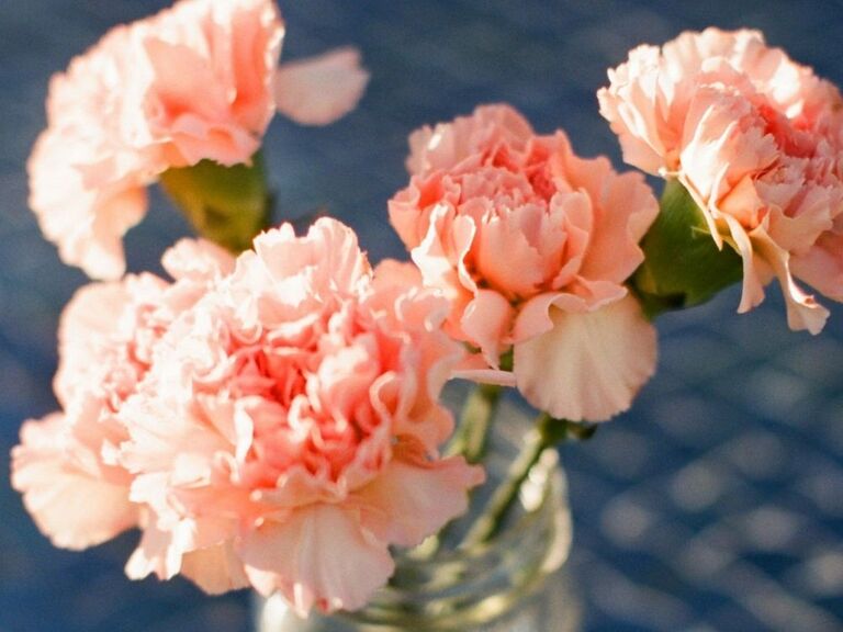 peach carnation centerpiece