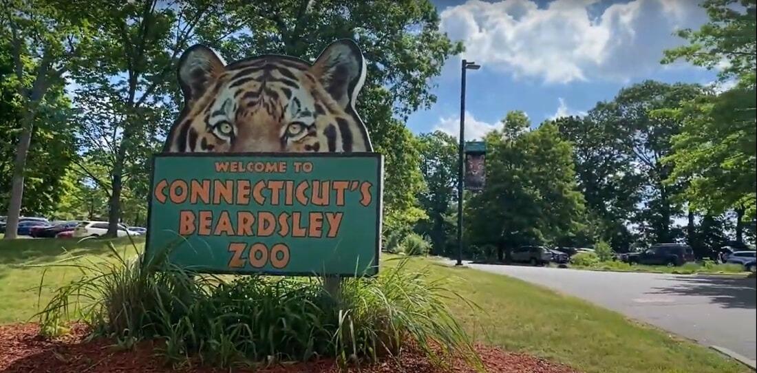 Picture of Connecticut's Beardsley Zoo