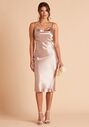 Birdy Grey Lisa Midi Dress in Taupe Scoop Bridesmaid Dress - thumbnail - 1