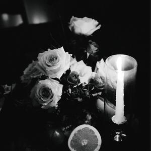 Gallery Photo 31