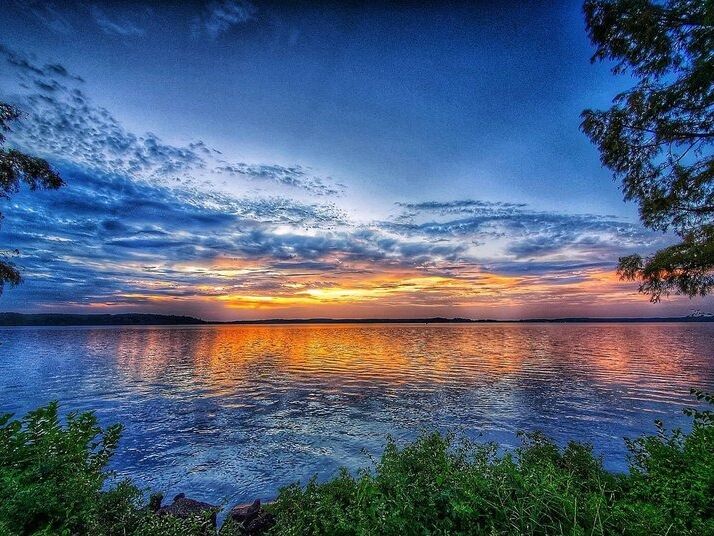 Picture of Lake D'Arbonne