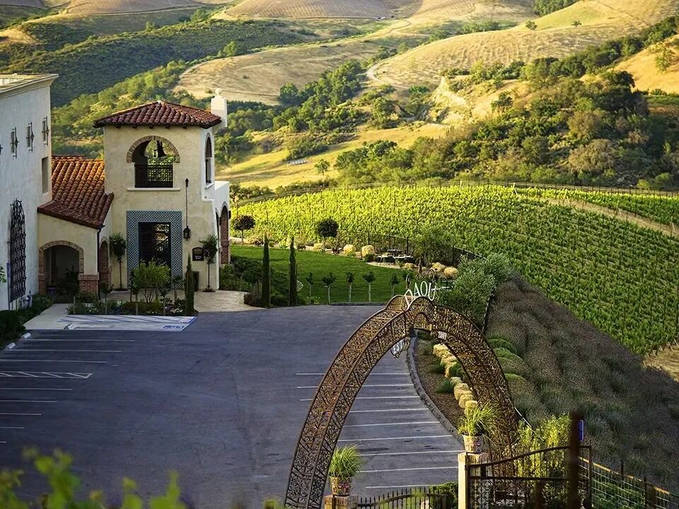 Picture of DAOU Family Estates
