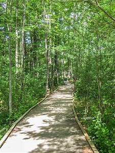 Picture of Green Circle Trail, Stevens Point, WI, USA