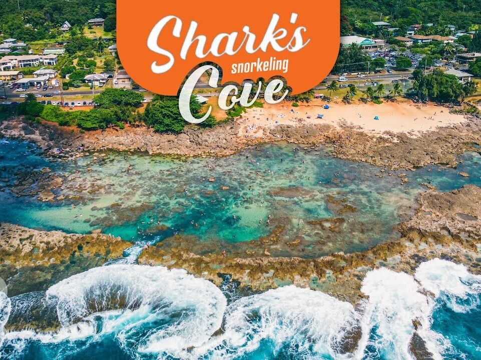 Picture of Shark's Cove