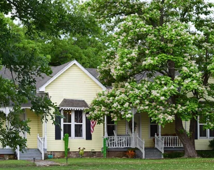Picture of Cactus Flower Bed & Breakfast