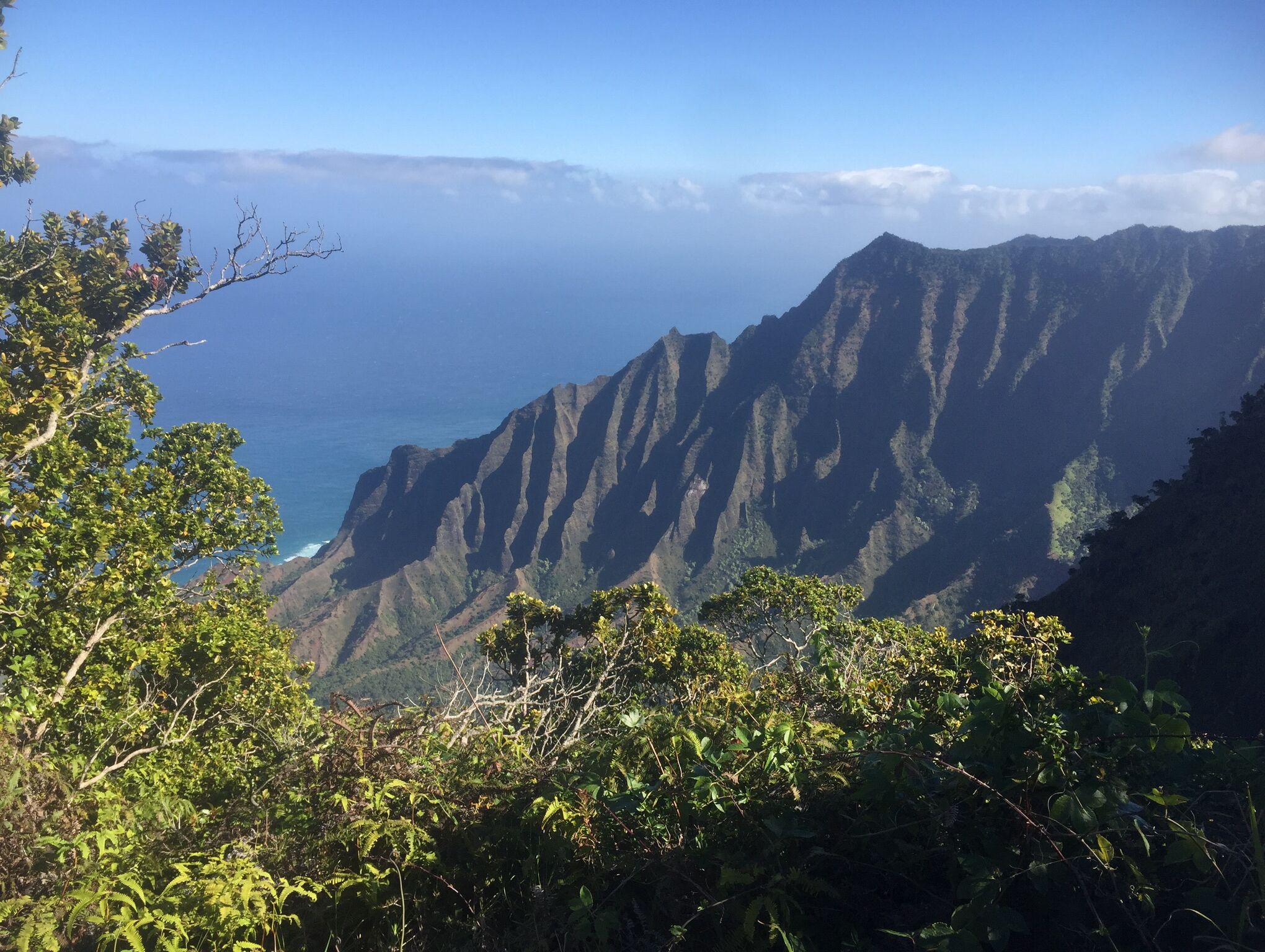 Picture of Waimea State Park