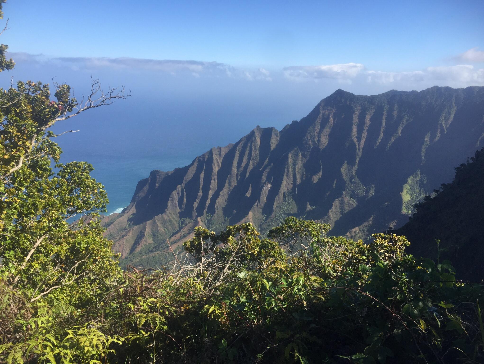 Picture of Waimea State Park