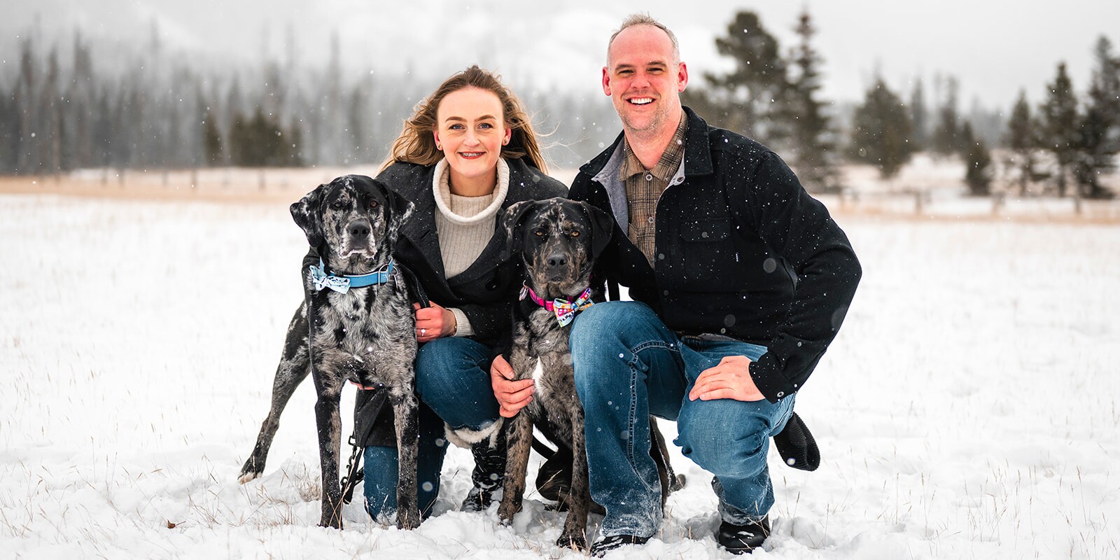 Stephanie & Daniel Home Page Banner