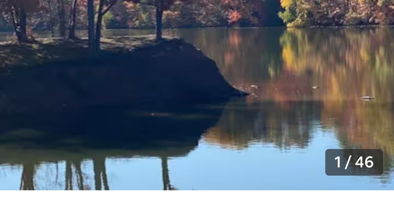 Picture of Airbnb