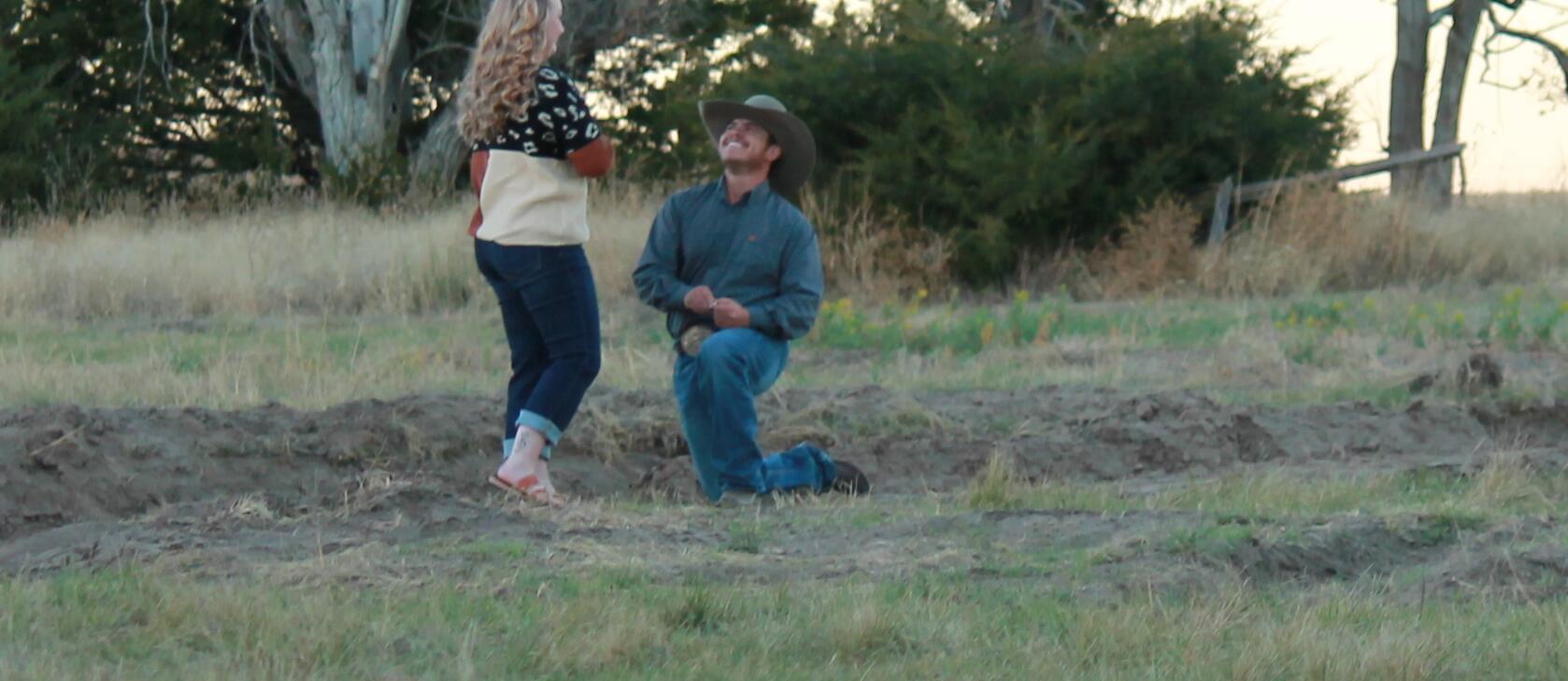 Picture of The Proposal