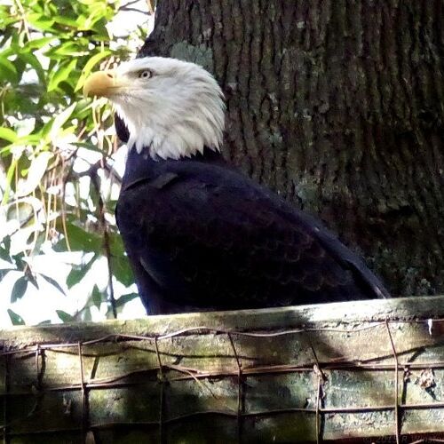 Picture of Center for Wildlife Education
