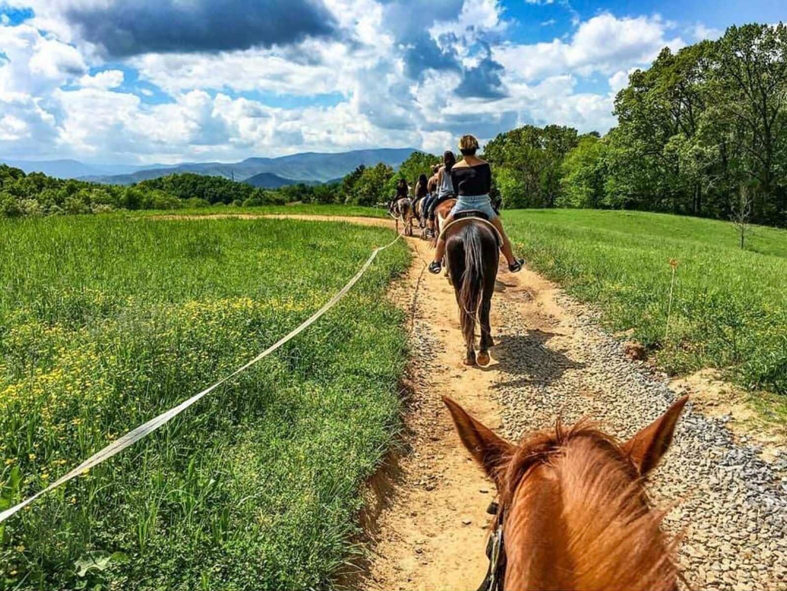 Picture of Cades Cove Riding Stables