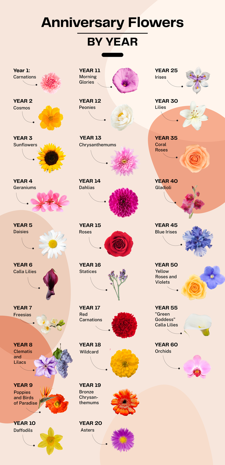 Wedding anniversary flowers by year