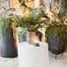 Fern and Greenery Centerpieces in Concrete Vases