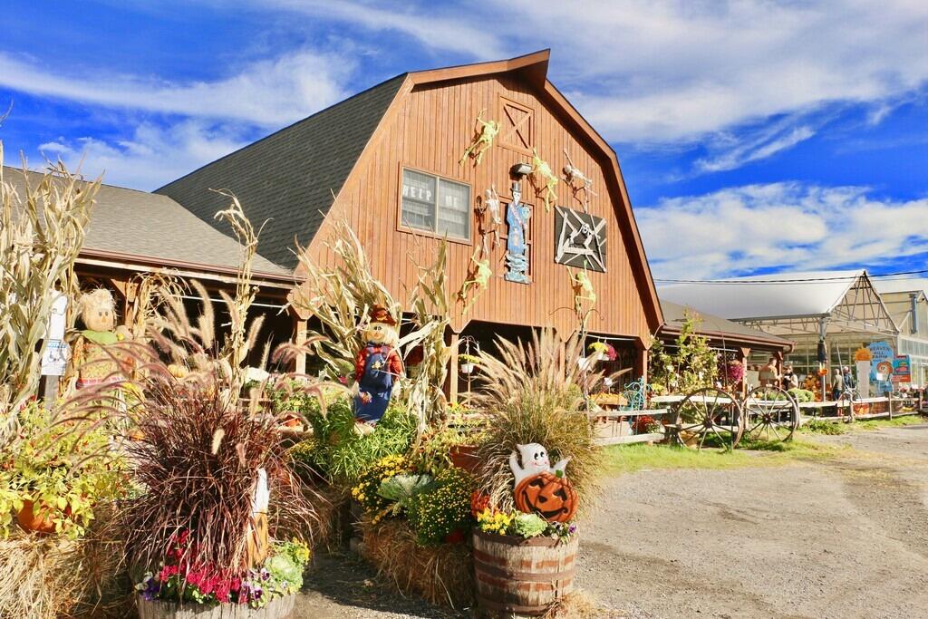 Picture of Heaven Hill Farm and Garden Center