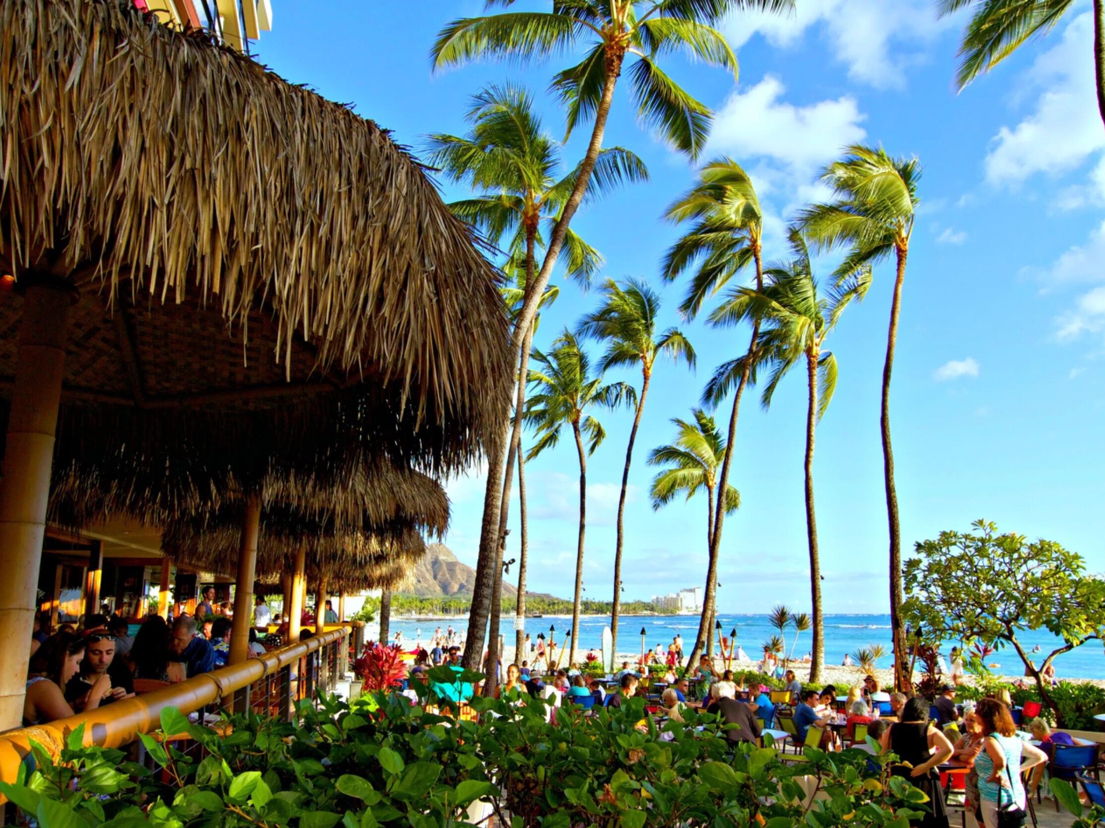 Picture of Duke's Waikiki